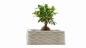 Preview: Constructions-3D Mini Printer 3D- concrete printer EDUCATION Edition