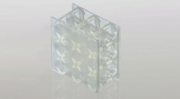 BASF Ultracur3D FL 60 Flexible