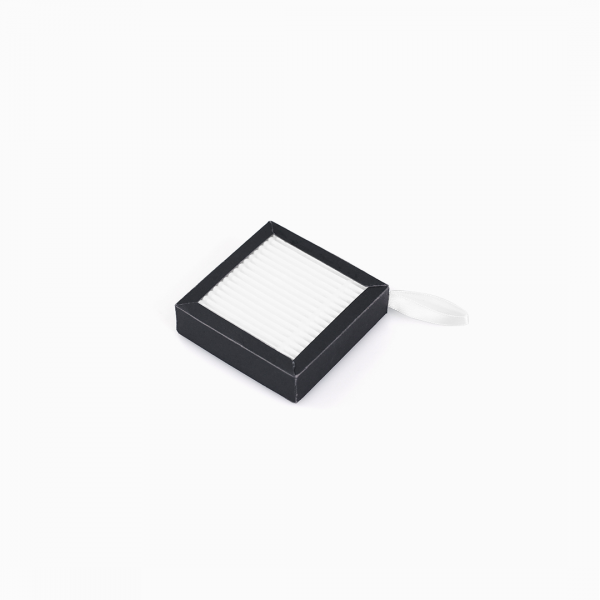 Raise3D E2 & E2CF Air filter 